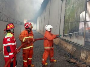 Aksi Petugas Damkar Padamkan Api di Pabrik Teh Batang Aksi Petugas Damkar Padamkan Api di Pabrik Teh Batang