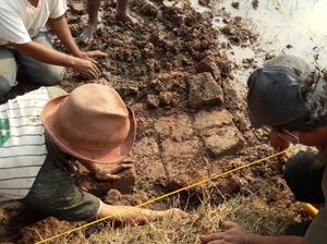 Balai Cagar Budaya Teliti Penemuan Batu Bata yang Diduga Candi di Indramayu