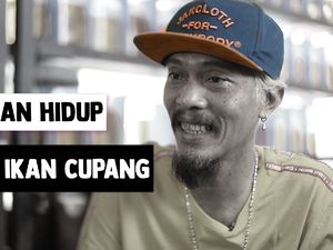 Lika-liku Perjalanan Hidup Presiden Ikan Cupang Deeway Gembel Lika-liku Perjalanan Hidup Presiden Ikan Cupang Deeway Gembel