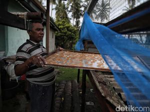 Meraup Cuan Lewat Bisnis Kerupuk Ikan di Perbatasan