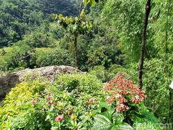 Puncak Batu Walet, Destinasi Hijau Baru di Ciamis