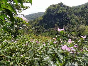 Puncak Batu Walet, Wisata Baru di Ciamis Puncak Batu Walet, Wisata Baru di Ciamis