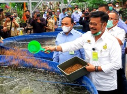 Kunjungan Kerja ke Pemalang, Mentan Panen Padi dan Lele