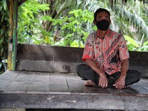 Alhamdulillah, KUR BRI Bikin Petani di Rupat Bisa Punya 30 Ha Sawit