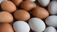 Telur Bebek Lebih Sehat dari Telur Ayam? 5 Alasan Ini Belum Banyak yang Tahu