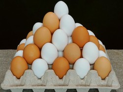 Telur Ayam vs Telur Bebek, Mana yang Lebih Bernutrisi?