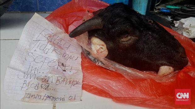 The chairman of the East Java Independent Election Monitoring Committee (KIPP), Novli Bernado Thyssen, was terrified to receive a goat head with a letter threatening to kill him as election day for Pilkada 2020 approached .