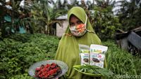 Emak-emak Ini Jual Dendeng Daun Ubi Hingga ke Abu Dhabi