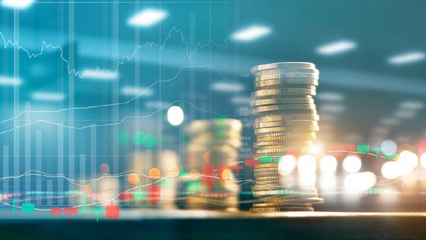 Finance and business investment concept. Graph and rows with statistic growth of coins on table.