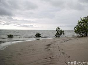 Walhi: Banyak Pulau dan Pesisir Tenggelam, Batas Wilayah RI Bisa Berkurang Walhi: Banyak Pulau dan Pesisir Tenggelam, Batas Wilayah RI Bisa Berkurang