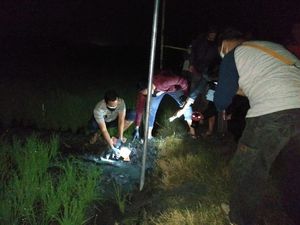 Buruh Tani di Ngawi Tewas Tersengat Jebakan Tikus Listrik Buatan Sendiri