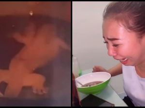 Jijik! Netizen Ini Temukan Seekor Cicak di dalam Botol Kecap