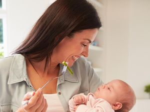 Diet untuk Ibu Menyusui agar Kembali Langsing, Begini Caranya