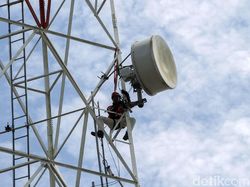 Hari Ini Smartfren, Telkomsel, XL Axiata Adu Harga di Lelang Frekuensi 5G