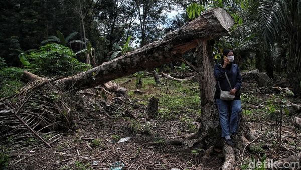 Perkenalkan Indah Sang Mantri BRI di Rupat