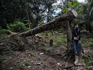 Perkenalkan Indah Sang Mantri BRI di Rupat Perkenalkan Indah Sang Mantri BRI di Rupat