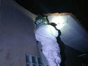 Selama 2020, Damkar Ciamis Evakuasi 86 Sarang Tawon-26 Ular di Pemukiman