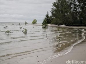 Pulau Cantik yang Jadi Penanda Masuknya Islam di Rupat