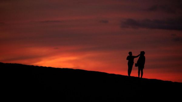 Vegetasi Bukit Pasir di Spanyol Kembali Pulih Akibat Pandemi