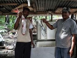 Lewat KUR, BRI Gairahkan Ekonomi di Perbatasan Malaysia