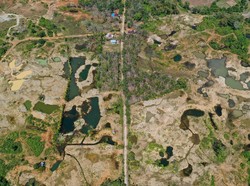 Walhi: 2.000 Hektare Hutan Aceh Rusak Akibat Tambang Emas Ilegal