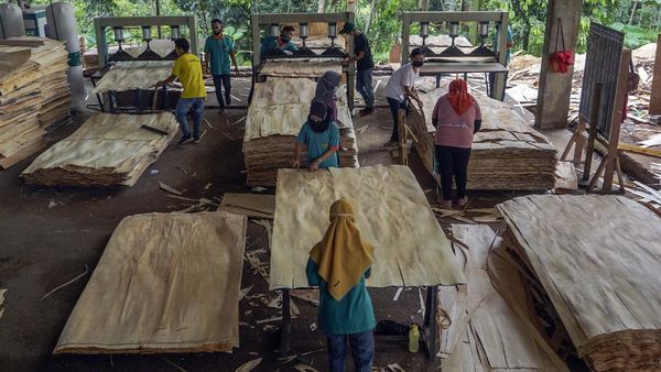 Geliat Produksi Kayu Lapis Ekspor di Batang
