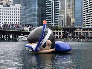 Floaties Raksasa Mengapung di Sydney, Ada Apa Ya?
