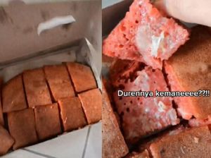 Tergiur Harga Murah, Wanita Ini Dapat Martabak Durian Zonk! Tergiur Harga Murah, Wanita Ini Dapat Martabak Durian Zonk!