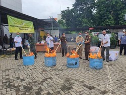 Sabu Sampai Tembakau Gorilla Senilai Rp 6 M Dimusnahkan Kejari Jaksel
