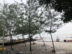 BMKG Sebut Banjir Rob Akan Terjadi di Pesisir Surabaya Timur hingga Sidoarjo