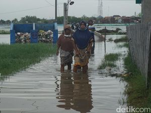 Lahan Pertanian di Demak Terus Susut, BPS: Dampak Proyek Tol-Banjir Rob