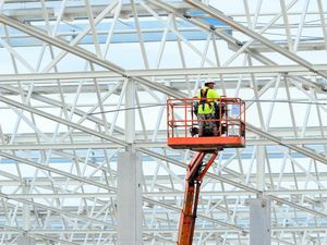 Takut Ganggu Hibernasi Ular, Pembangunan Pabrik Tesla di Jerman Terhenti