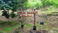 Foto: Wisata Ratusan Tanaman Berkhasiat di Taman Eden 100