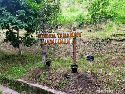 Foto: Wisata Ratusan Tanaman Berkhasiat di Taman Eden 100