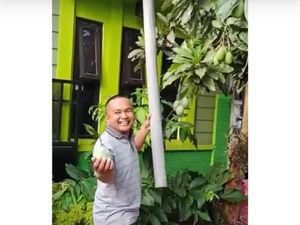 Tampang Senang Bapak-bapak yang Asyik Panen Mangga Pakai Pralon Tampang Senang Bapak-bapak yang Asyik Panen Mangga Pakai Pralon