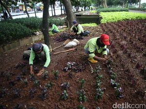 Tanaman Hias Percantik Jalan Inspeksi BKT