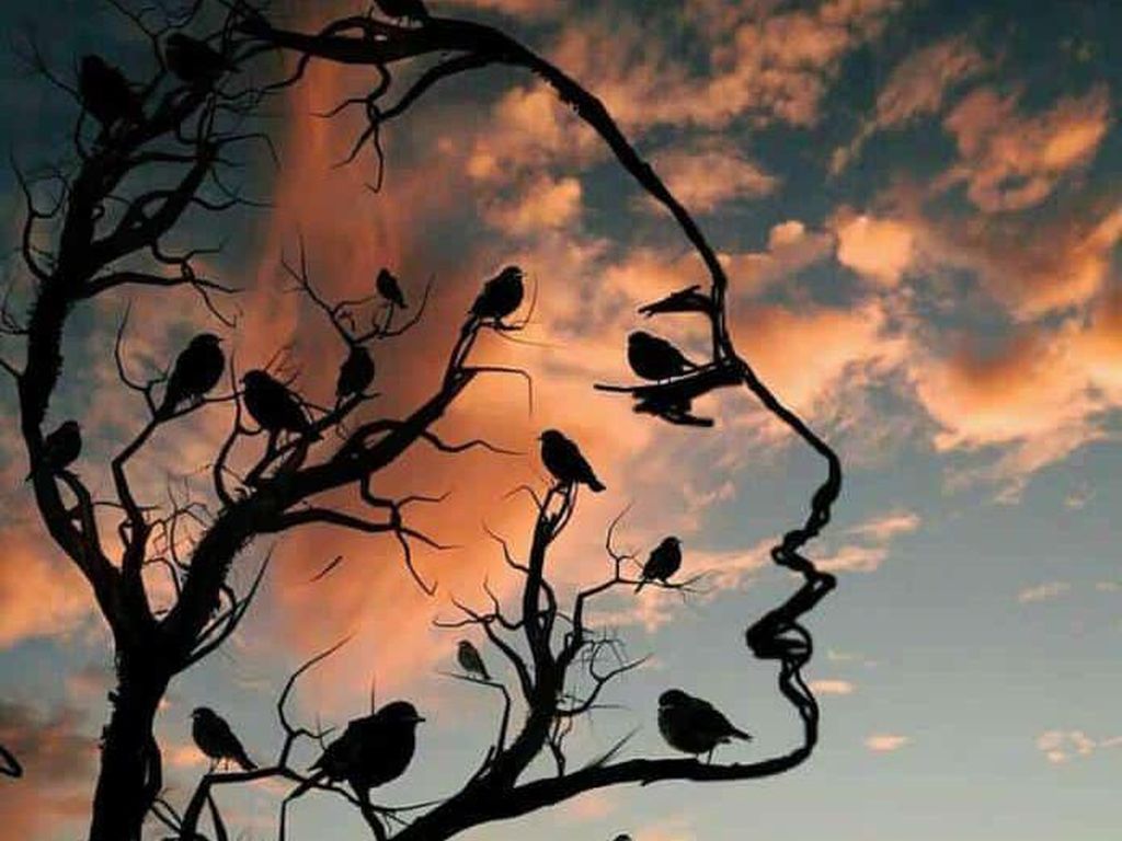 Tes Kepribadian: Gambar Pohon & Burung atau Wajah yang Pertama Kamu Lihat? Tes Kepribadian: Gambar Pohon & Burung atau Wajah yang Pertama Kamu Lihat?