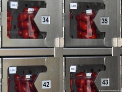 Tren Bisnis Baru: Mesin Anjungan Mandiri untuk Sayuran Laku Keras di Prancis