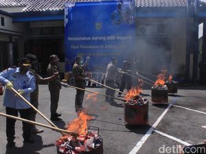 Bea Cukai Blitar Musnahkan Barang Tanpa Pita Cukai Senilai Rp 700 Juta