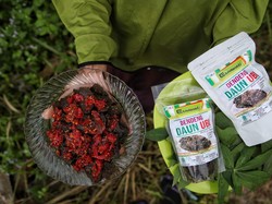 Bermodal Rp 50 Ribu, Olahan Daun Ubi Ini Terkenal hingga Abu Dhabi