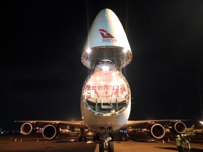 Foto: Sapi Asal Australia Diangkut Pakai Pesawat Masuk ke RI