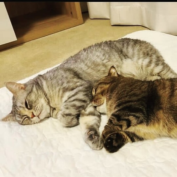 lulu perusuh/sumber:instagram.com/lulu_kittysaurus_/ lulu perusuh