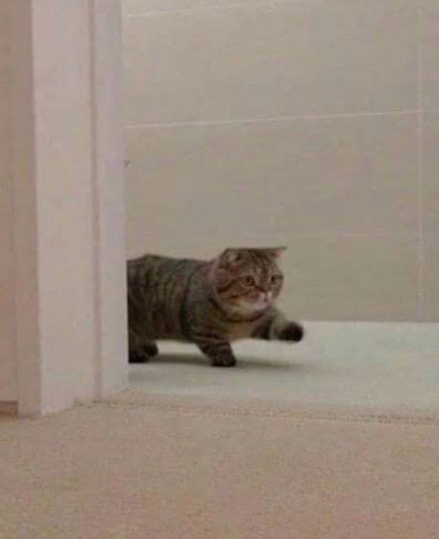 meme lulu/sumber:twitter.com meme lulu