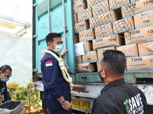 Mentan Ingin Sektor Perkebunan Jadi Perhatian BUMN dan Swasta