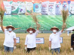 Program Pendampingan Pupuk Kaltim Tingkatkan Produksi Padi