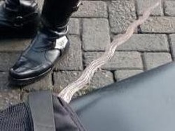 Wanita yang Turunkan Merah Putih di Masjid Agung Klaten Ternyata Bawa Keris