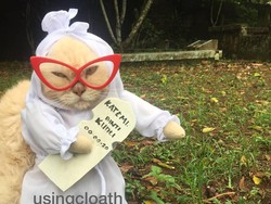 Drama Jual Baju Kucing, Ditantang Bikin Bentuk Pocong Hingga Dikecam Aktivis