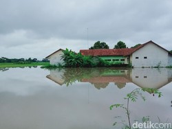 Sungai Meluap, Sekolah-Sawah di Klaten Ini Sempat Terendam