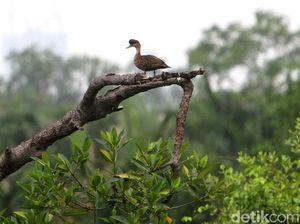 4 Pilihan Destinasi Wisata yang Aman saat Pandemi