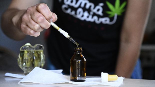 Valeria Rivera, member of the self-managing NGO Mama cultiva (Mom grows), prepares medicinal cannabic oil with self-cultivated cannabis for an epileptic boy, at her home in Buenos Aires on November 19, 2020. - Argentina legalised the self-cultivation of cannabis for medicinal use and the sales of therapeutic oils in pharmacies, through a decree published on the official journal on November 12, 2020. (Photo by JUAN MABROMATA / AFP)